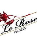 Wir suchen Escort Damen