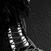 Betty Surprise (Foto #7)