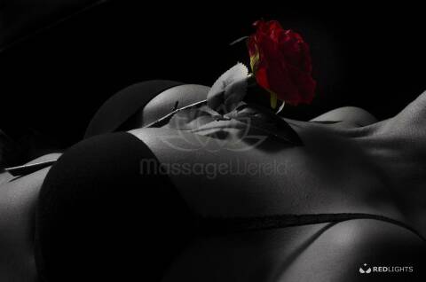 Privat MassageWereld Maastricht